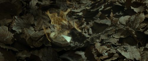 RdM1-Potterish6710.jpg