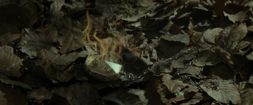 RdM1-Potterish6711.jpg