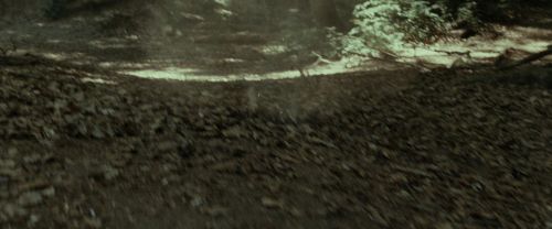Click to view full size image
==============
RdM1-Potterish6714.jpg RdM1-Potterish6714.jpg