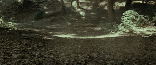 RdM1-Potterish6715.jpg