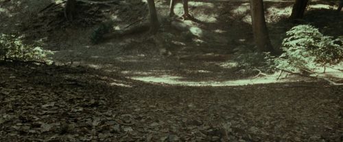 RdM1-Potterish6716.jpg