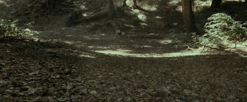 Click to view full size image
==============
RdM1-Potterish6717.jpg RdM1-Potterish6717.jpg