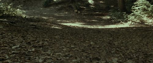 RdM1-Potterish6719.jpg