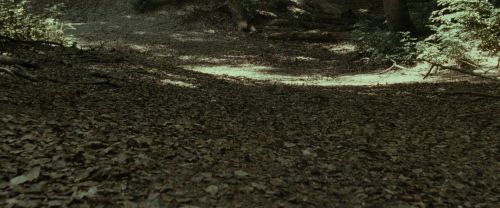 Click to view full size image
==============
RdM1-Potterish6720.jpg RdM1-Potterish6720.jpg