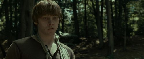 Click to view full size image
==============
RdM1-Potterish6725.jpg RdM1-Potterish6725.jpg
