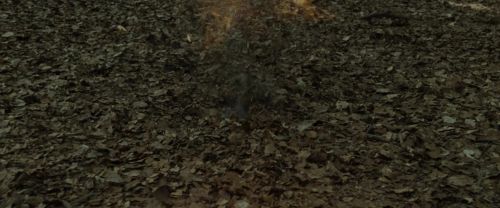 Click to view full size image
==============
RdM1-Potterish6730.jpg RdM1-Potterish6730.jpg