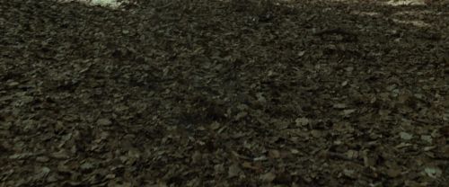 Click to view full size image
==============
RdM1-Potterish6731.jpg RdM1-Potterish6731.jpg