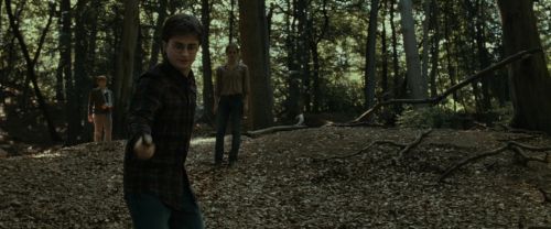 RdM1-Potterish6734.jpg