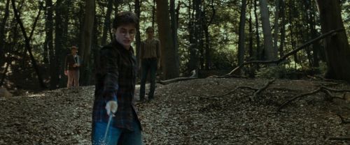 RdM1-Potterish6735.jpg