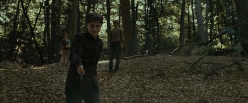 Click to view full size image
==============
RdM1-Potterish6736.jpg RdM1-Potterish6736.jpg
