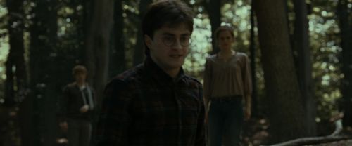 RdM1-Potterish6737.jpg