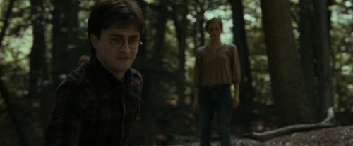 RdM1-Potterish6738.jpg