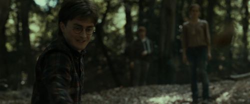 RdM1-Potterish6740.jpg
