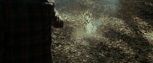 Click to view full size image
==============
RdM1-Potterish6741.jpg RdM1-Potterish6741.jpg