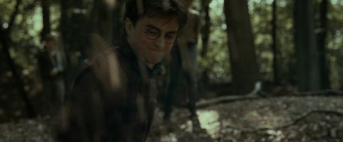 Click to view full size image
==============
RdM1-Potterish6742.jpg RdM1-Potterish6742.jpg