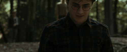 RdM1-Potterish6751.jpg