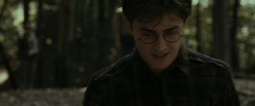 RdM1-Potterish6752.jpg