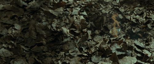 Click to view full size image
==============
RdM1-Potterish6755.jpg RdM1-Potterish6755.jpg
