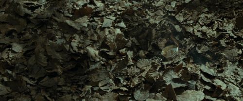 Click to view full size image
==============
RdM1-Potterish6756.jpg RdM1-Potterish6756.jpg