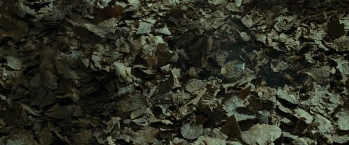 RdM1-Potterish6758.jpg