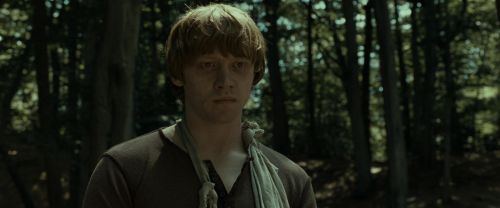 RdM1-Potterish6762.jpg