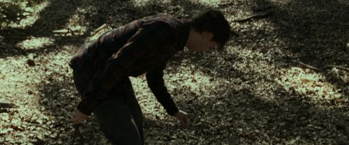 RdM1-Potterish6767.jpg