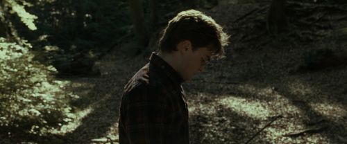 Click to view full size image
==============
RdM1-Potterish6771.jpg RdM1-Potterish6771.jpg