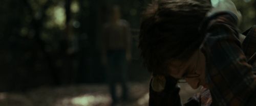 RdM1-Potterish6773.jpg