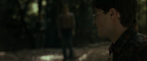 RdM1-Potterish6781.jpg