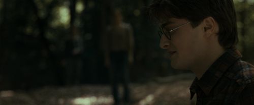 RdM1-Potterish6782.jpg