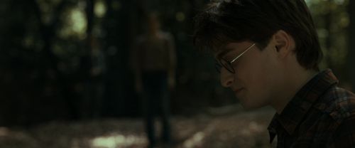 RdM1-Potterish6784.jpg
