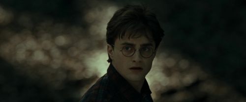 RdM1-Potterish6805.jpg