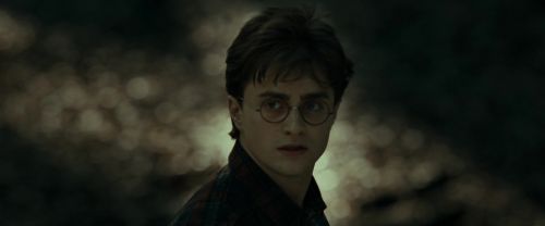 RdM1-Potterish6807.jpg