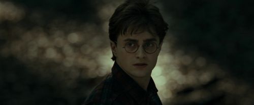 RdM1-Potterish6808.jpg