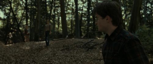 Click to view full size image
==============
RdM1-Potterish6809.jpg RdM1-Potterish6809.jpg