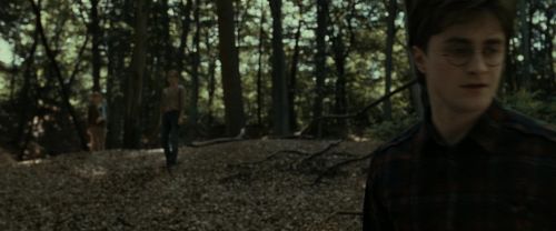 RdM1-Potterish6810.jpg