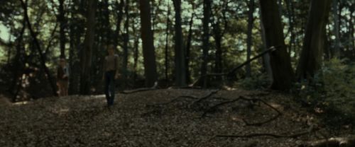 Click to view full size image
==============
RdM1-Potterish6811.jpg RdM1-Potterish6811.jpg