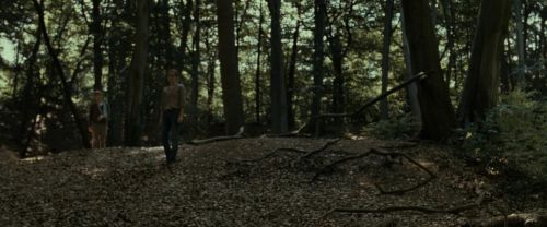 Click to view full size image
==============
RdM1-Potterish6812.jpg RdM1-Potterish6812.jpg