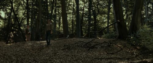 Click to view full size image
==============
RdM1-Potterish6815.jpg RdM1-Potterish6815.jpg