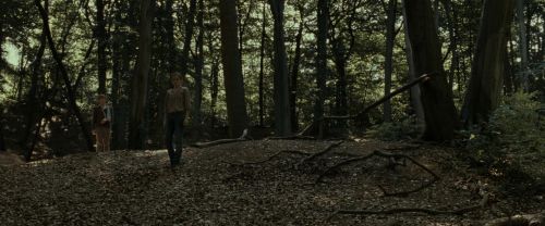 Click to view full size image
==============
RdM1-Potterish6817.jpg RdM1-Potterish6817.jpg
