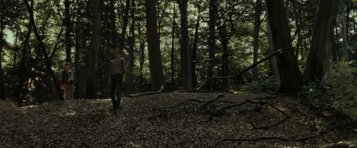 Click to view full size image
==============
RdM1-Potterish6818.jpg RdM1-Potterish6818.jpg