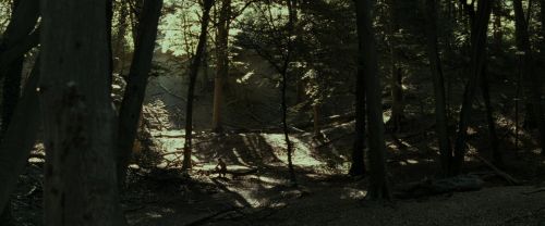 Click to view full size image
==============
RdM1-Potterish6843.jpg RdM1-Potterish6843.jpg
