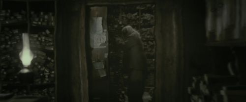 RdM1-Potterish6868.jpg