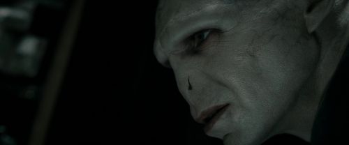 RdM1-Potterish6882.jpg