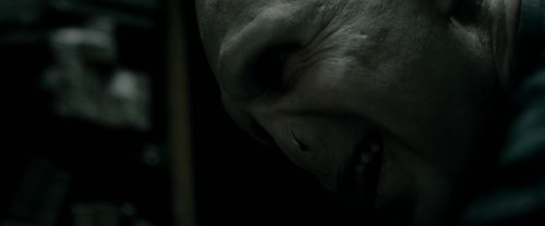 RdM1-Potterish6909.jpg