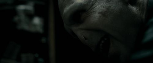 RdM1-Potterish6910.jpg