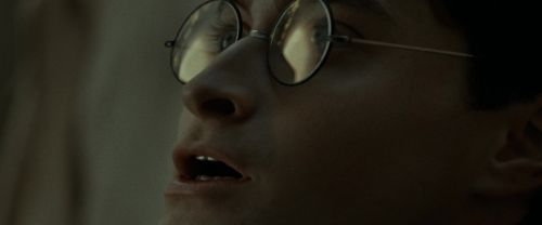 RdM1-Potterish6924.jpg