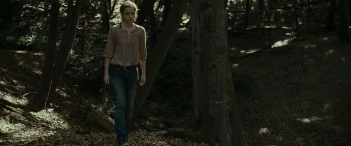 RdM1-Potterish6943.jpg