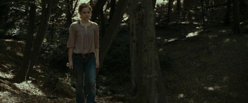 Click to view full size image
==============
RdM1-Potterish6945.jpg RdM1-Potterish6945.jpg
