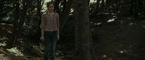 RdM1-Potterish6946.jpg